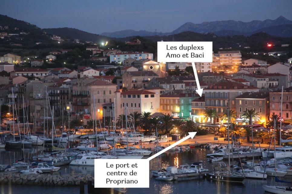 Apartment Duplex En Plein Centre *
