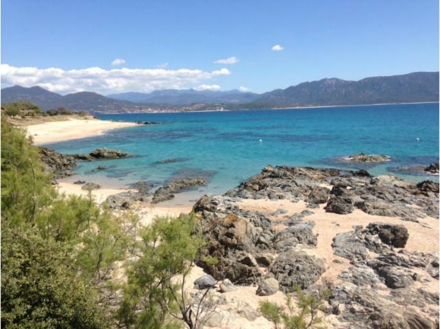 Apartment Duplex En Plein Centre Propriano (Corsica)